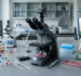 can fenbendazole treat cancer
